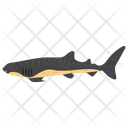 پیش‌نمایش فایل common-fish-1 از پک زندگی زیر آب
