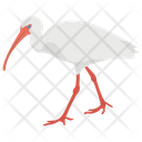 پیش‌نمایش فایل crane-bird-4 از پک زندگی زیر آب