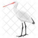پیش‌نمایش فایل crane-bird-5 از پک زندگی زیر آب