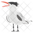 پیش‌نمایش فایل crested-tern از پک زندگی زیر آب