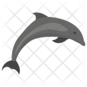 پیش‌نمایش فایل dolphin-132 از پک زندگی زیر آب