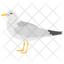 پیش‌نمایش فایل dove-65 از پک زندگی زیر آب
