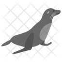 پیش‌نمایش فایل elephant-seal از پک زندگی زیر آب