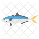 پیش‌نمایش فایل fish-977 از پک زندگی زیر آب