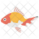 پیش‌نمایش فایل fish-978 از پک زندگی زیر آب