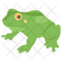 پیش‌نمایش فایل frog-120 از پک زندگی زیر آب