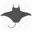 پیش‌نمایش فایل manta-ray-1 از پک زندگی زیر آب