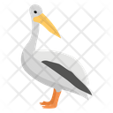 پیش‌نمایش فایل pelicans-1 از پک زندگی زیر آب