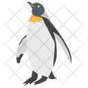 پیش‌نمایش فایل penguin-107 از پک زندگی زیر آب