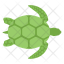 پیش‌نمایش فایل sea-turtle-4 از پک زندگی زیر آب