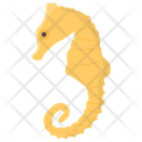 پیش‌نمایش فایل seahorse-37 از پک زندگی زیر آب
