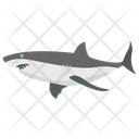 پیش‌نمایش فایل shark-109 از پک زندگی زیر آب