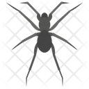 پیش‌نمایش فایل spider-301 از پک زندگی زیر آب