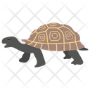 پیش‌نمایش فایل turtle-106 از پک زندگی زیر آب
