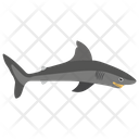 پیش‌نمایش فایل whale-82 از پک زندگی زیر آب