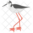 پیش‌نمایش فایل white-stork از پک زندگی زیر آب