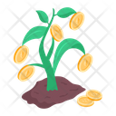 پیش‌نمایش فایل money-plant-9685353 از پک مزایا