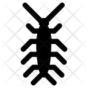 پیش‌نمایش فایل centipede-2 از پک کنترل آفات