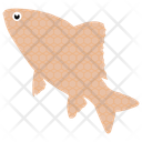 پیش‌نمایش فایل common-fish-2 از پک زندگی زیر آب