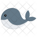 پیش‌نمایش فایل dolphin-134 از پک زندگی زیر آب