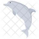 پیش‌نمایش فایل dolphin-135 از پک زندگی زیر آب