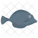 پیش‌نمایش فایل fish-983 از پک زندگی زیر آب