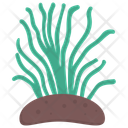 پیش‌نمایش فایل green-algae از پک زندگی زیر آب