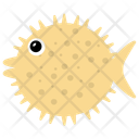 پیش‌نمایش فایل puffer-fish-5 از پک زندگی زیر آب