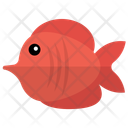 پیش‌نمایش فایل red-tang از پک زندگی زیر آب