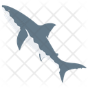 پیش‌نمایش فایل shark-110 از پک زندگی زیر آب