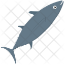پیش‌نمایش فایل shark-111 از پک زندگی زیر آب