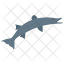 پیش‌نمایش فایل shark-112 از پک زندگی زیر آب