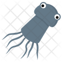 پیش‌نمایش فایل squid-25 از پک زندگی زیر آب