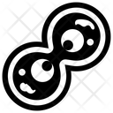 پیش‌نمایش فایل meiosis از پک علم