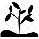 پیش‌نمایش فایل plant-647 از پک علم