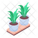 پیش‌نمایش فایل decorative-plants-9992854 از پک رستوران