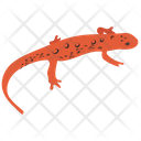 پیش‌نمایش فایل agamidae-lizard-2 از پک خزندگان و دوزیستان خانگی