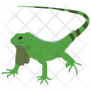 پیش‌نمایش فایل agamidae-lizard از پک خزندگان و دوزیستان خانگی
