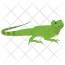 پیش‌نمایش فایل chameleon-10 از پک خزندگان و دوزیستان خانگی