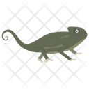 پیش‌نمایش فایل chameleon-11 از پک خزندگان و دوزیستان خانگی