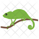 پیش‌نمایش فایل chameleon-9 از پک خزندگان و دوزیستان خانگی