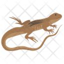 پیش‌نمایش فایل elasmosaurus-3 از پک خزندگان و دوزیستان خانگی
