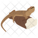 پیش‌نمایش فایل elasmosaurus-4 از پک خزندگان و دوزیستان خانگی