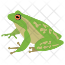 پیش‌نمایش فایل frog-124 از پک خزندگان و دوزیستان خانگی