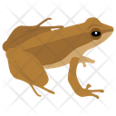 پیش‌نمایش فایل frog-126 از پک خزندگان و دوزیستان خانگی