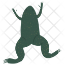 پیش‌نمایش فایل frog-127 از پک خزندگان و دوزیستان خانگی