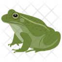 پیش‌نمایش فایل frog-128 از پک خزندگان و دوزیستان خانگی