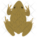 پیش‌نمایش فایل frog-129 از پک خزندگان و دوزیستان خانگی
