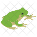 پیش‌نمایش فایل frog-130 از پک خزندگان و دوزیستان خانگی