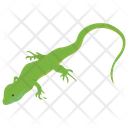 پیش‌نمایش فایل lizard-10 از پک خزندگان و دوزیستان خانگی